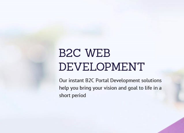 B2C Web Development